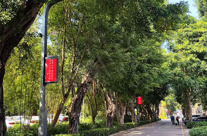 LED燈桿屏,燈桿屏 LED燈桿屏,燈桿屏