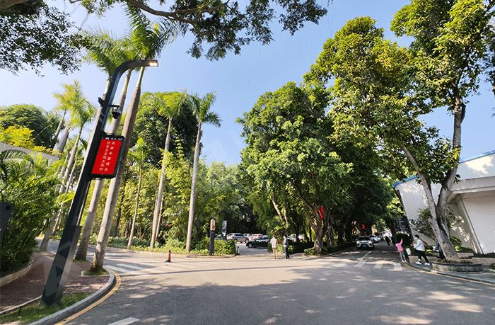 LED燈桿屏,燈桿屏 LED燈桿屏,燈桿屏